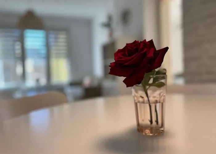 Family Friendly Downtown 公寓 索菲亞